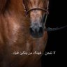 Фото профиля دعني وشأني