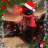 Ancalagon ๐โฐ๏ธ๐ป's profile picture