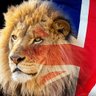 Sharon The Baron 🏴󠁧󠁢󠁥󠁮󠁧󠁿🇬🇧🏴󠁧󠁢󠁥󠁮󠁧󠁿's profile picture