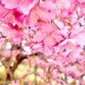 Profilbild von まる