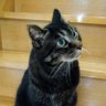 Gカズ profil fotoğrafı