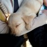 S.HAA👪🐕 profil fotoğrafı