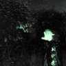 Фото профиля GRAVEY