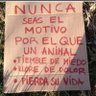 Фото профиля analista siempre