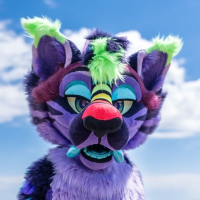 Streak's profile picture