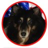 Anita's profile picture