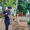 Anand Chaudhary 的头像