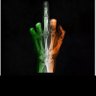 Фото профиля irish and proud