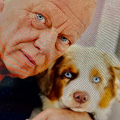 frits wester's profile picture