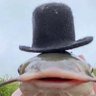 Vikkedd's profile picture
