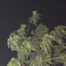 ابو عبدالعزيز's profile picture