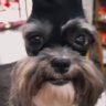 Rafffffffffffffff profil fotoğrafı