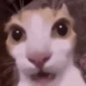 Profilbild von WhiteSnake