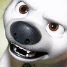Torpedog's profile picture