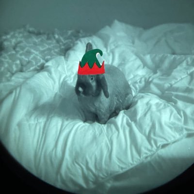 hammy's profile picture