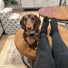 Profilbild von Jolene Nixon Dr + Oscar Harry Ella Cody