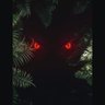 DRIFTOR's profile picture
