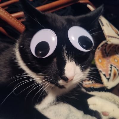 comic_old's profile picture
