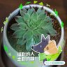 Фото профиля 四元☕🇹🇼🌸🇯🇵1️⃣4️⃣5️⃣0️⃣