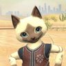 こはチュ〜ブ profil fotoğrafı