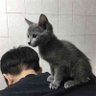 小黄 的头像