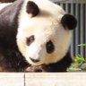 なかがわ まさひろ 的头像