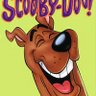 Scoob profil fotoğrafı
