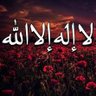 Aamir hamed's profile picture