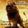 adamu ibrahim abdullahi's profile picture