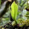 Фото профиля Hender Miller