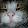 Millerverse's profile picture
