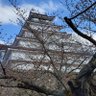 ながっち 的头像