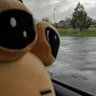.-. Armageddon's profile picture