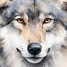 Profilbild von Lone Wolf