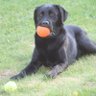 Annika profil fotoğrafı
