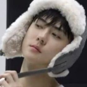 shixunfairy's profile picture