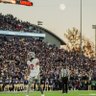 Kyle Williams profil fotoğrafı