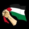 damsir hussein🇵🇸 的头像