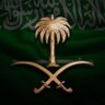 Фото профиля 𝗙𝗔𝗜𝗦𝗔𝗟 . BIN SALMAN |🇸🇦