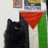 Фото профиля maidah| مائدہ🇵🇰 ZIONISM IS UGLY