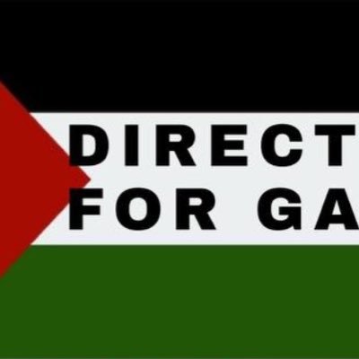 Direct Aid for Gaza 🇵🇸's profile picture