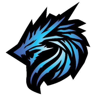 Origin of Storms @ CEO2026's profile picture