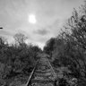 Фото профиля status