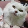 hwangbi95 profil fotoğrafı