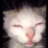 Rob's profile picture