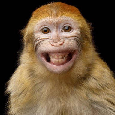 Sudah Nikmatin aja's profile picture