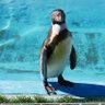 和樹 profil fotoğrafı