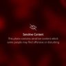 totallynotaboomer's profile picture