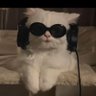 Quyzi's profile picture