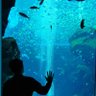 Фото профиля PandaHuskyOtter